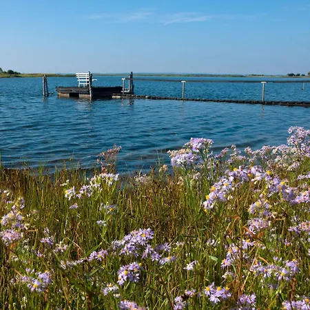 Am Lotsenstieg Abendrot Insel Poel