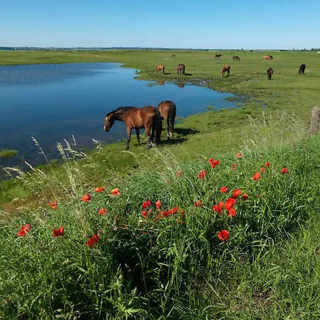 Am Lotsenstieg Abendrot * Insel Poel